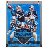 The Northwest Group 47x63 Carolina Panthers