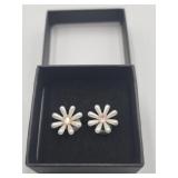 New Pierced Earrings In Box