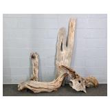 Lot Of 4 Asstd Pieces Of Driftwood