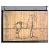 Reproduction Of A Historic Horse Study