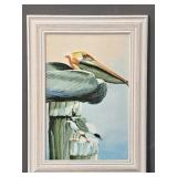 Framed Pelican Print