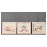 Lot Of 3 Barbara Fleri Seashell Themed Prints