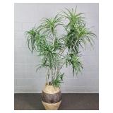 Large Clay Urn W/ Faux Dracaena Tree