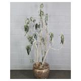 Unusual Faux Tree In Decorative Chalkware Planter