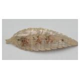 Antique Mother Of Pearl 5in Large Carved Brooch