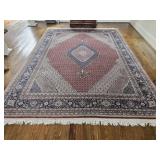 9x12 Fringed Area Rug