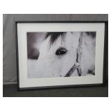 Uttermost Eye Of The Beholder Equine Portrait