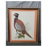 Vintage Pheasant Print On Canvas Under Glass