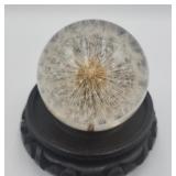 Hadod Grange Botanical Paperweight Dandelion Seed