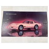 1980 CORVETTE CARDBOARD 32 X 18 INCH