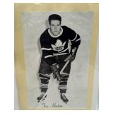 VINTAGE BEEHIVE PHOTO TIM HORTON