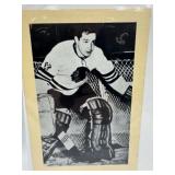 VINTAGE BEEHIVE PHOTO GLEN HALL CHICAGO