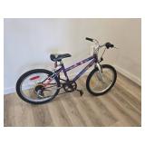 Sportek 20' 5-speed Kids Bike