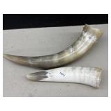 cow horns