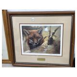 framed red fox study kit by John Seerey Lester