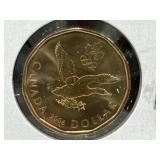 2006 Canadian Loonie - Loon Settling MS-66