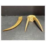 Animal Horns