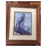 framed art, at the road side, red tailed hawk by