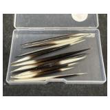 Porcupine Quills