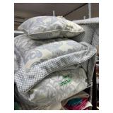 Queen Bed Set - Duvet, Duvet Cover, Pillows With