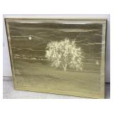 Framed Embossed Foil Artwork, 24x30 '