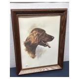 Framed Irish Setter Print, Signed Elliott.