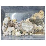 Agate Geodes, Shells, Stones and more