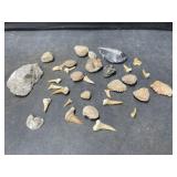 Sharks Teeth, Stones, Fossils, etc