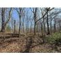 115 +/- Acres of Hunting & Rec Land with Pole Barn with Living Quarters - Real Estate Auction Perry Co. IN