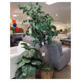 Artificial fig tree and large leaf tree