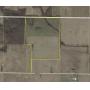 70.62 +/- Acres of Quality Farmland on Mertens Rd - Mt. Vernon, IN