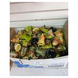 Box of Kashmir India PAK YAK, hand made and painted 3.5” bells