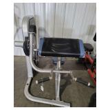 Life Fitness Biceps Curl Machine