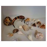 Shells, Gourd Figurine and Egg