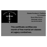 Martial Arts lessons