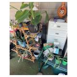 Large lot of live plants & misc on screened porch
