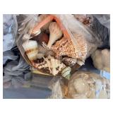 Lot of shells, sand toys, plastic frames