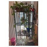 Lot of live plants