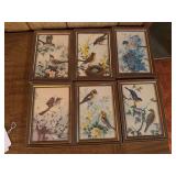 6 vintage framed bird prints 5" x 7"