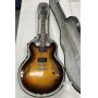 Vantage Electric Guitar With Case
