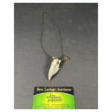 Bird Beak on a necklace with a charm