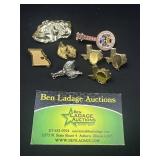 Texas, State & More Decorative Brooches / Pins