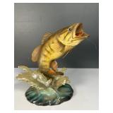 Bronzeback bass by george kruth