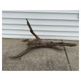 Driftwood