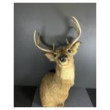 Mounted Whitetail Deer Shoulder Taxidermy