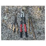 Tree Limb Trimmers