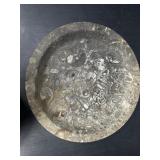 Polished Fossil Stone Plates