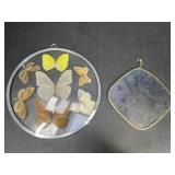Butterfly display and bird sun catcher