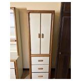 Kemp Vintage Bookcase/Cabinet
