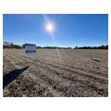 REAL ESTATE: Sangamon County Farm Land - Auburn IL